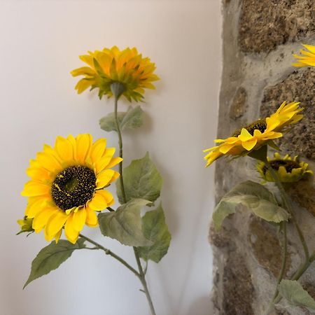 אוליביירה דו הוספיטל Casa Das Flores מראה חיצוני תמונה