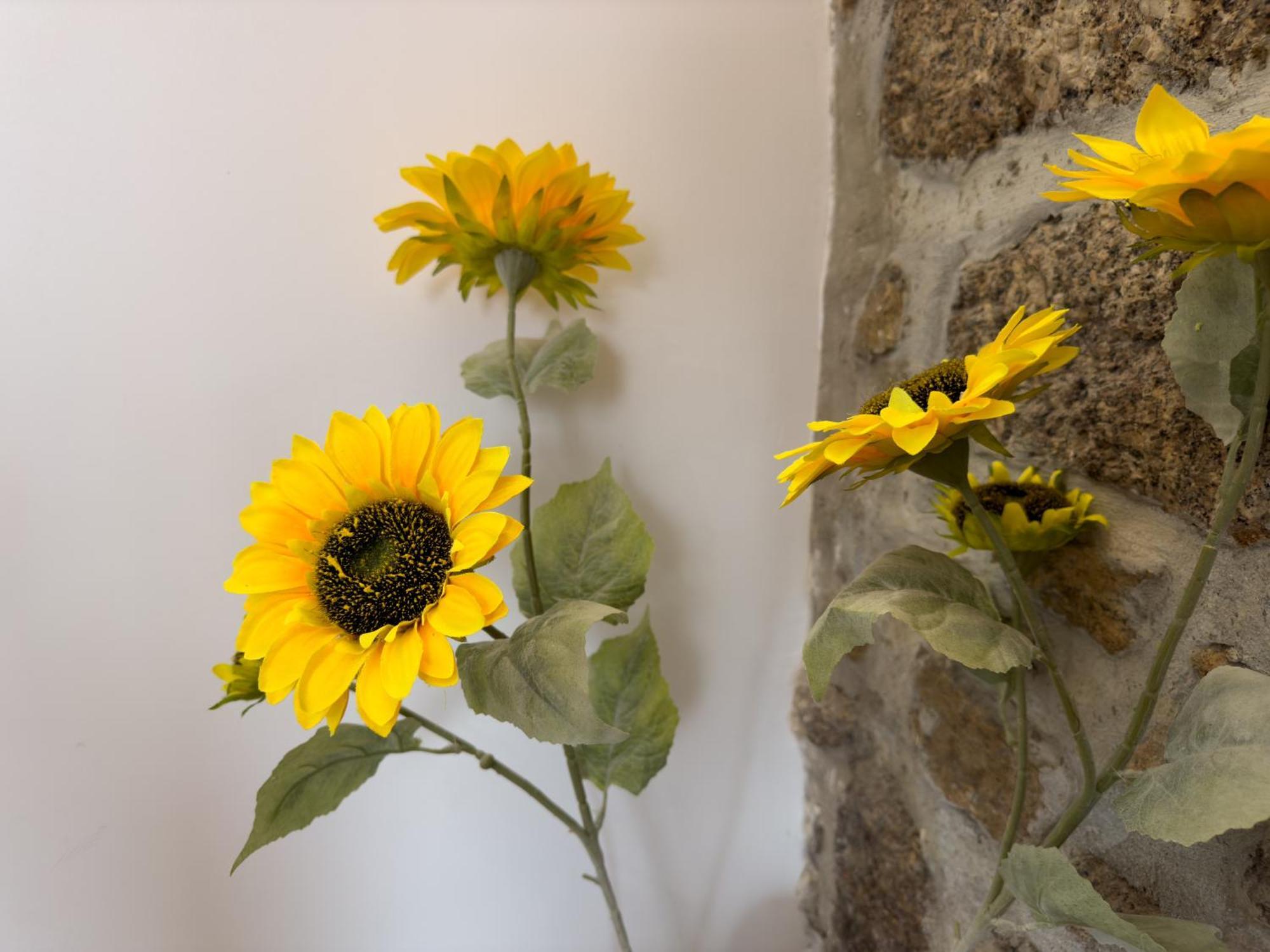 אוליביירה דו הוספיטל Casa Das Flores מראה חיצוני תמונה
